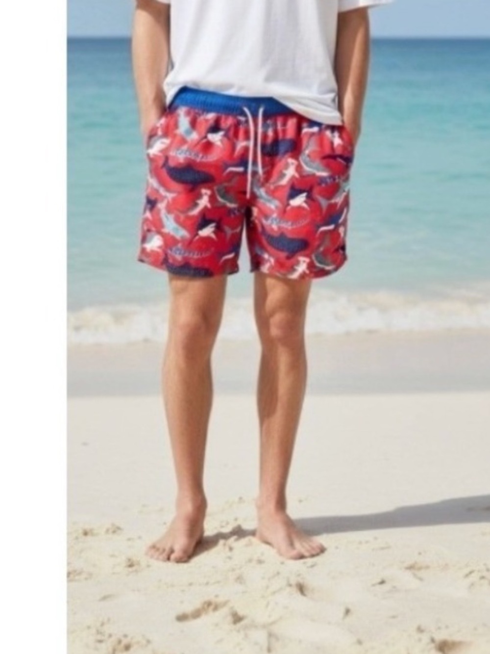 Boden Shark Print Drawstring‎ Board Shorts Women's Size XS Beach Vacation